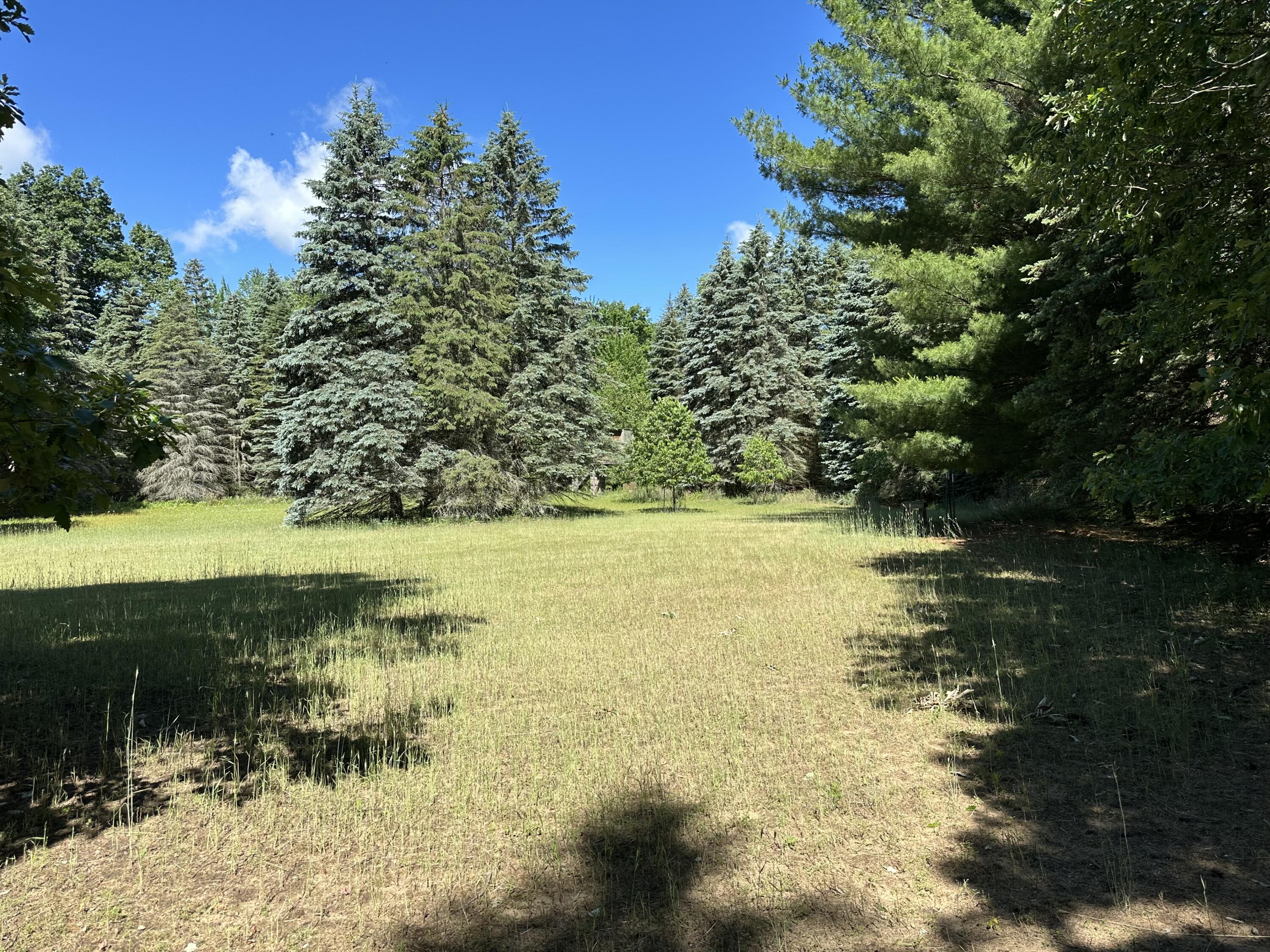 4485 South Miles Road Sheridan, MI 48884 - Photo 61 of 79 IMG_3666