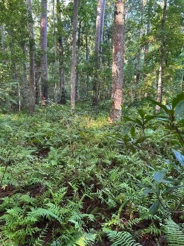 $545,000 | Undisclosed Address, Sanford, FL 32773