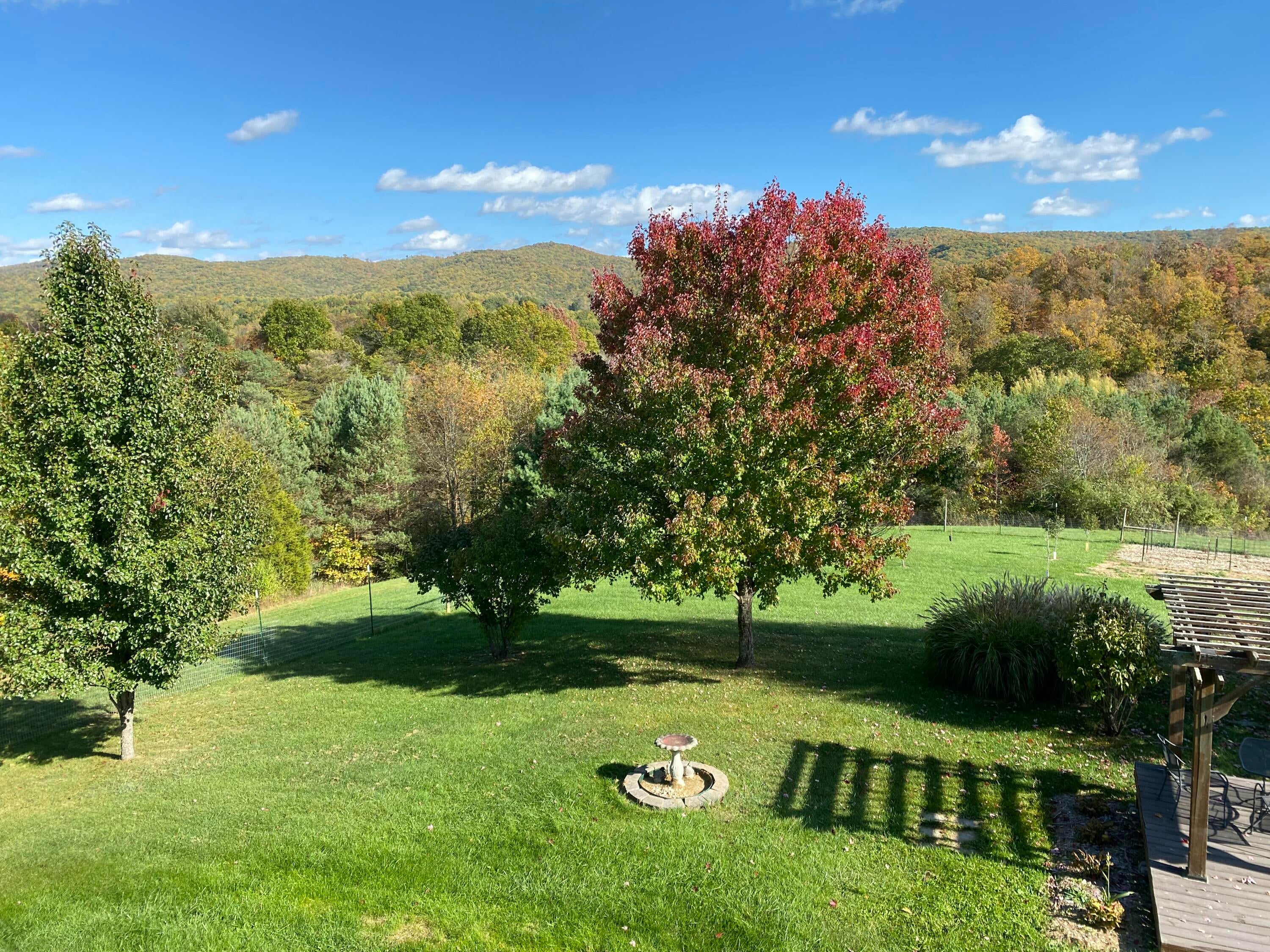 164 Charles Masters Road Ronceverte, WV 24970 - Photo 58 of 73 Seasonal views
