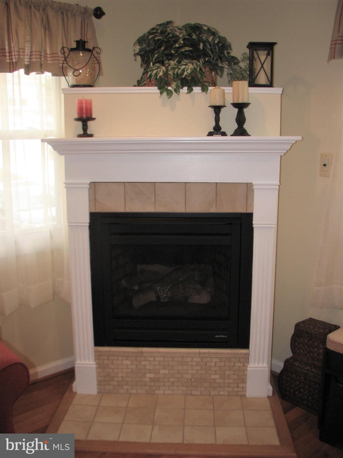 706 Ware Street Southwest Vienna, VA 22180 - Photo 2 of 30 Gas fireplace