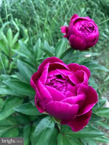 a view of a with a yard