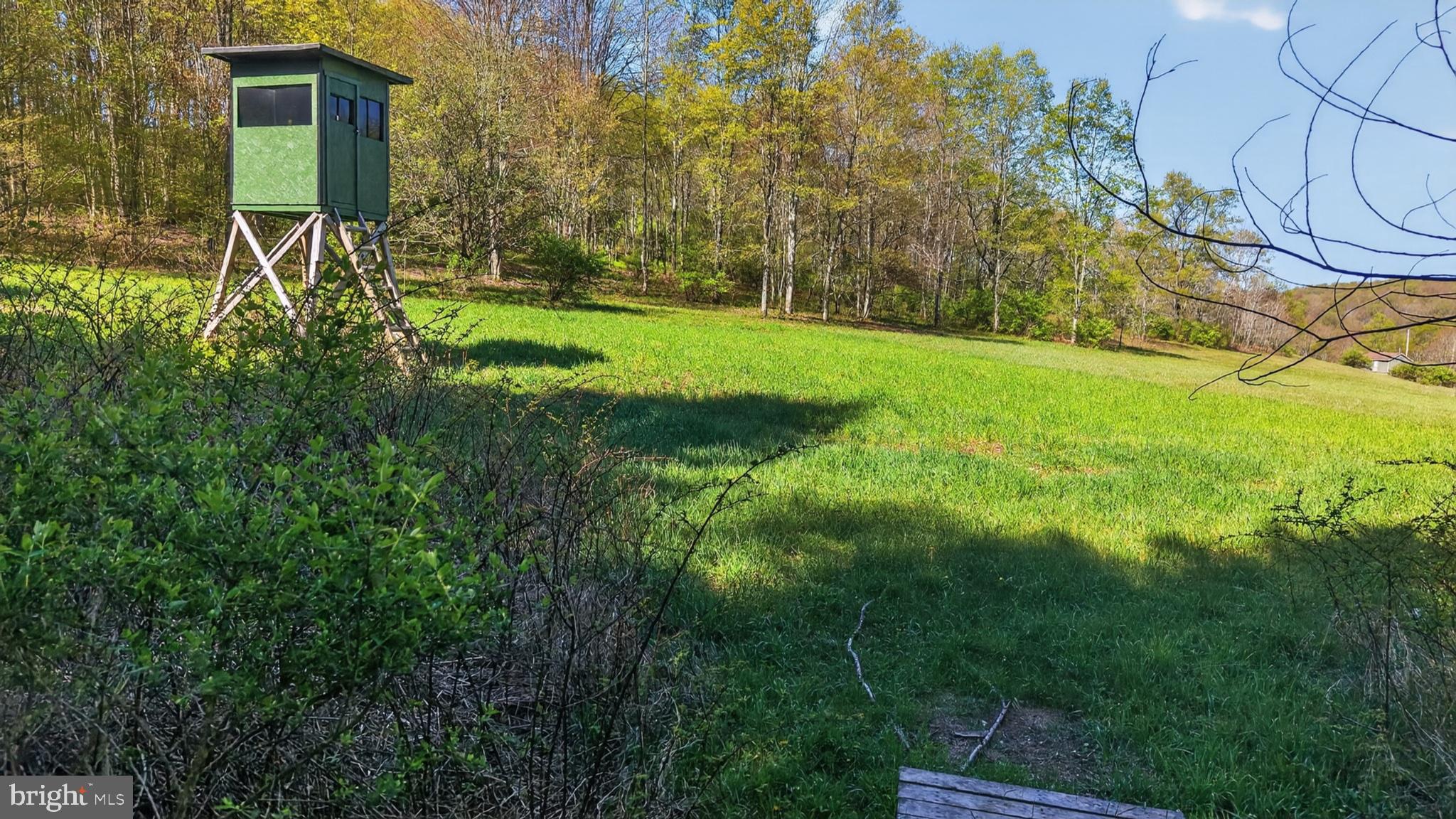 259 A A-Frame Road Coudersport, PA 16915 - Photo 100 of 130 Serene countryside lookout tower.