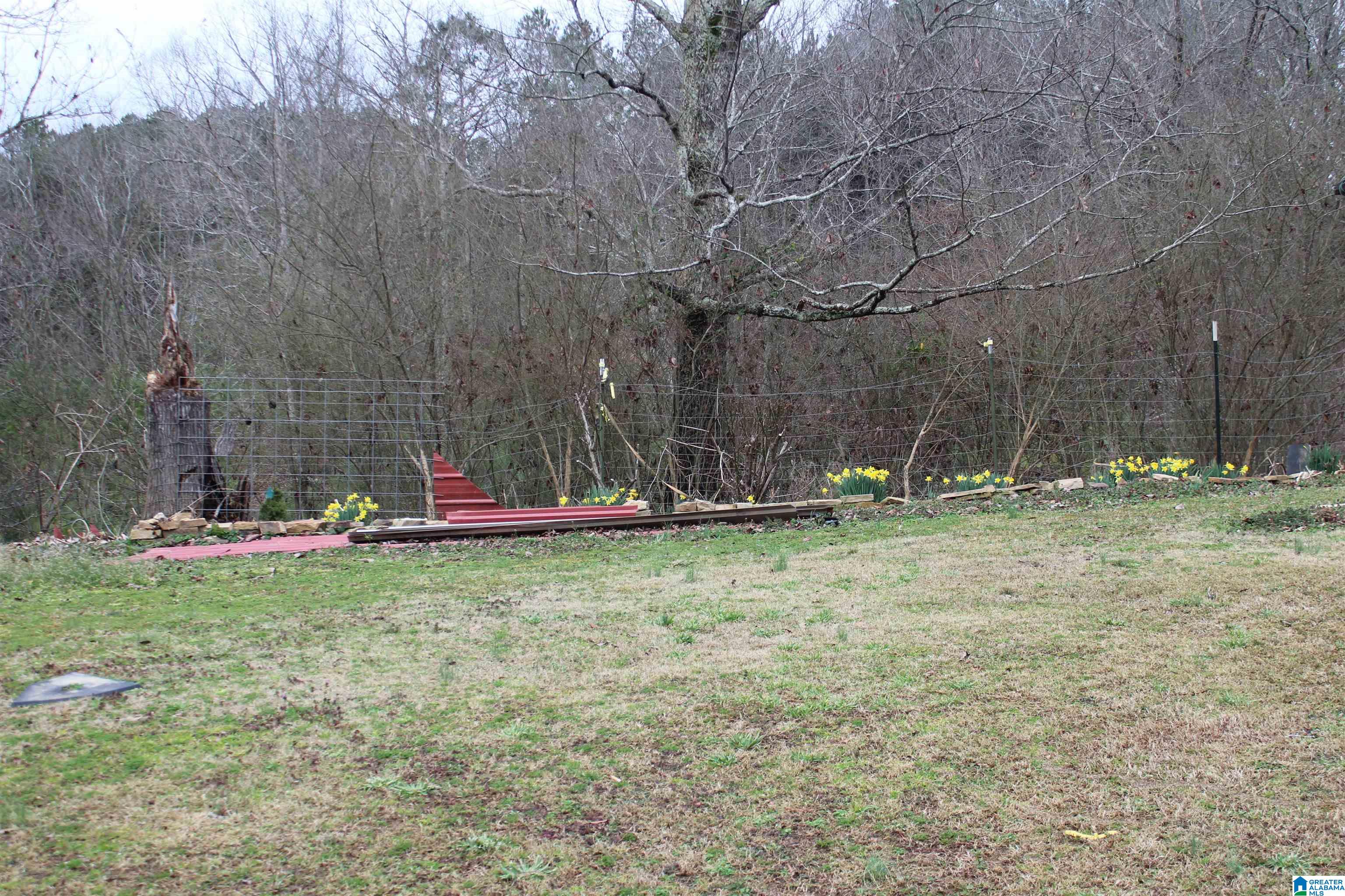 436 Cold Branch Road Oneonta, AL 35121 - Photo 14 of 16