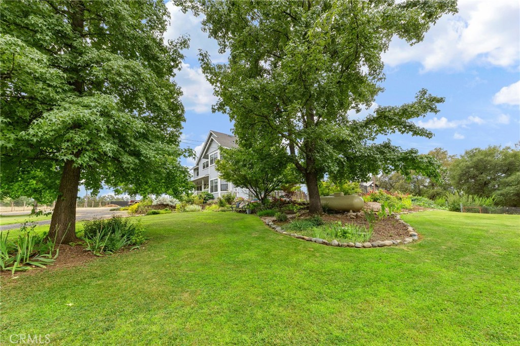 83 Gopher Road Oroville, CA 95966 - Photo 67 of 69 a big yard with lots of green space and plants