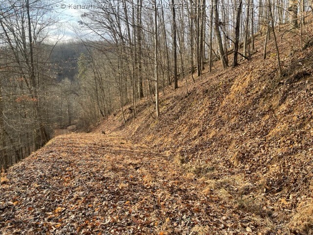 0 Six Mile Road Midkiff, WV 25540 - Photo 10 of 12 Gallery Image 10