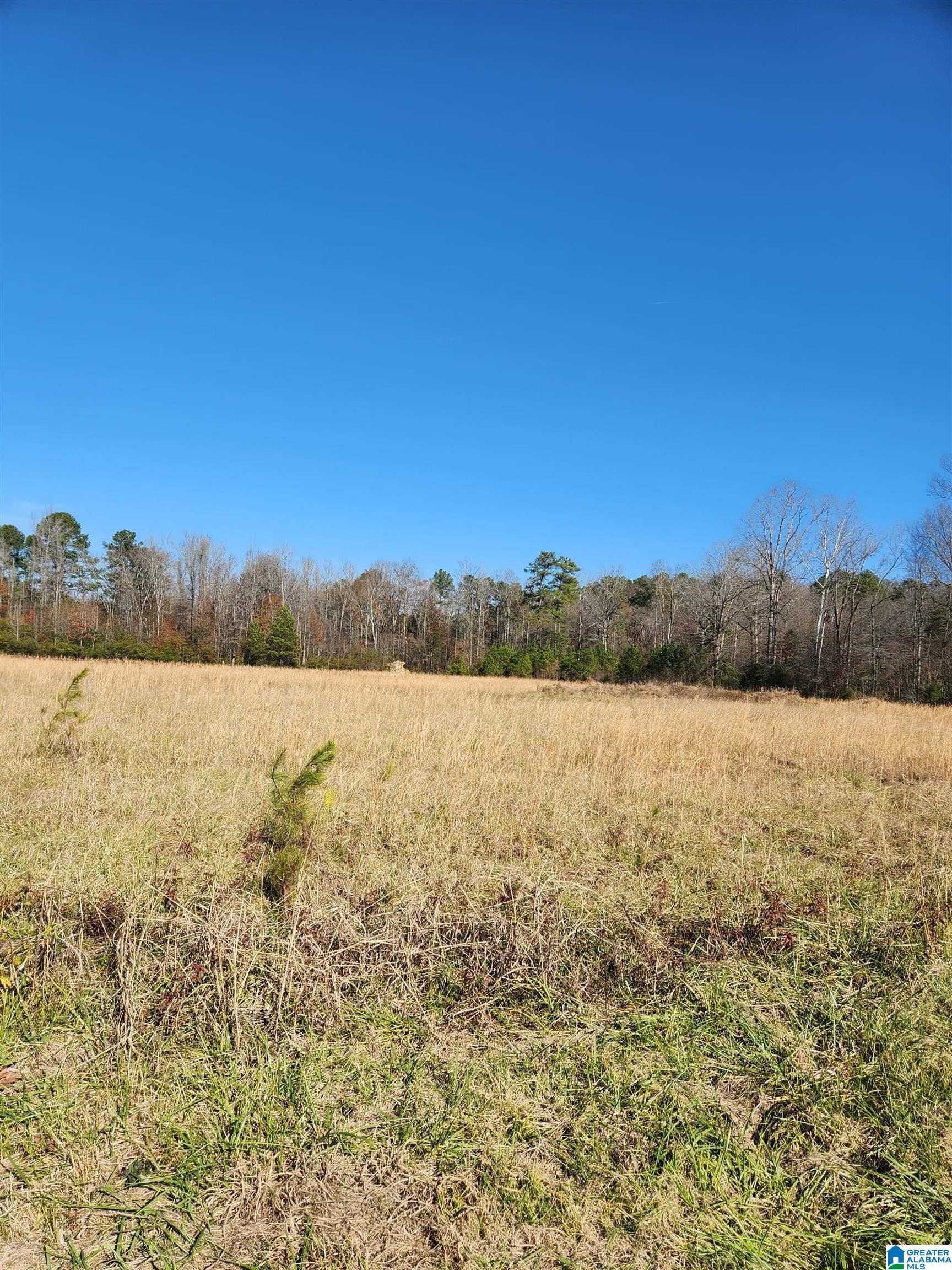 440 Fox Valley Farms Road, Unit 4 Alabaster, AL 35114 - Photo 11 of 12