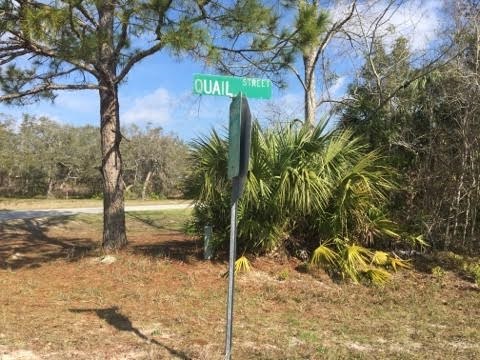 0 Quail Street, Unit 1 Perry, FL 32348 - Photo 2 of 6 Gallery Image 2