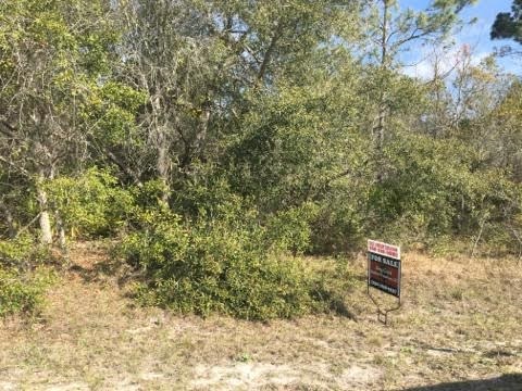 0 Quail Street, Unit 1 Perry, FL 32348 - Photo 5 of 6 Gallery Image 5
