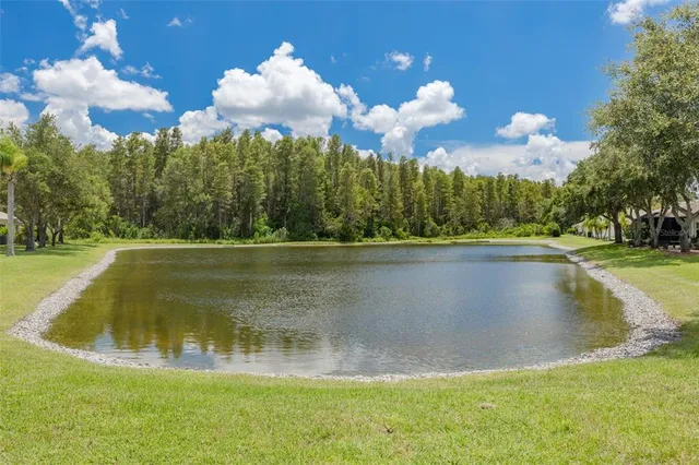 $355,000 | 1055 Blyth Hill Court, Trinity, FL 34655