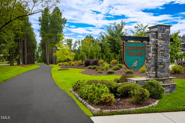 a view of a park with large trees