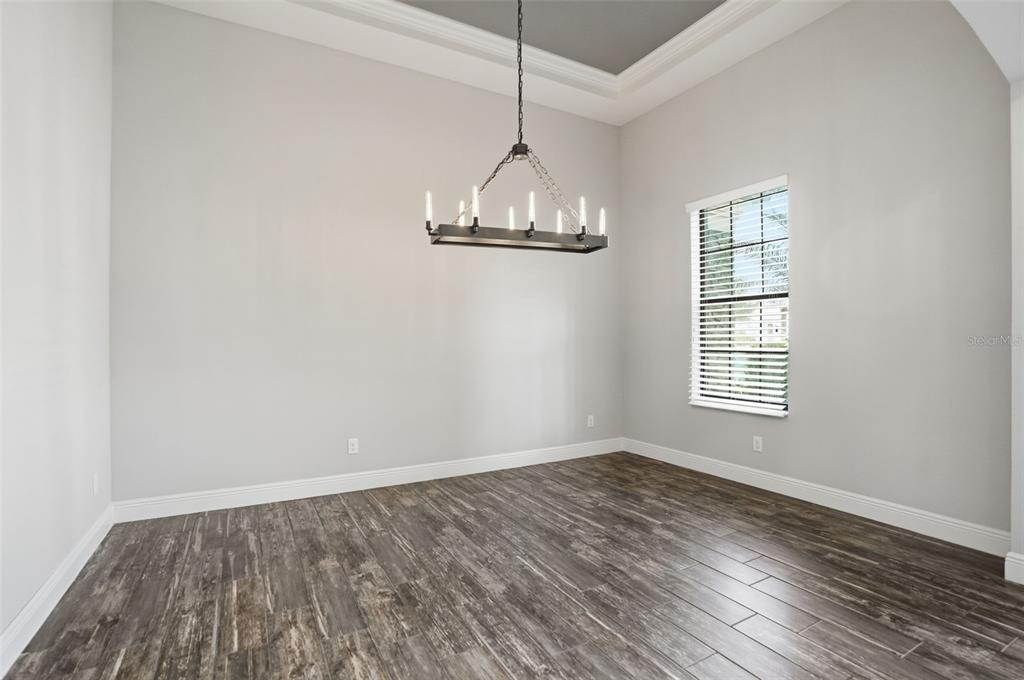 31999 Watoga Loop Wesley Chapel, FL 33543 - Photo 19 of 67