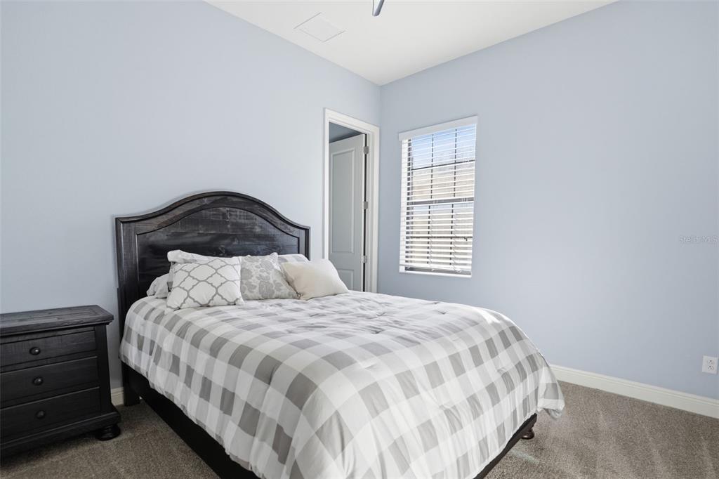 31999 Watoga Loop Wesley Chapel, FL 33543 - Photo 37 of 67