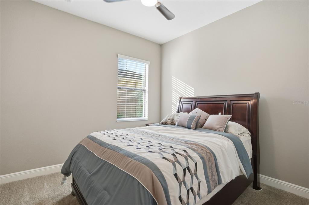 31999 Watoga Loop Wesley Chapel, FL 33543 - Photo 41 of 67 a bedroom with a bed and a window