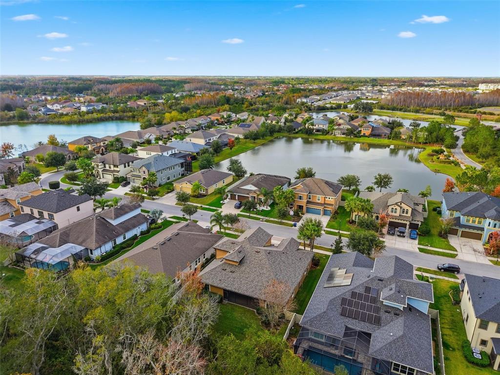 31999 Watoga Loop Wesley Chapel, FL 33543 - Photo 61 of 67