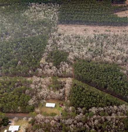 $95,000 | 681 Bay City Road, Oakdale, LA 71463