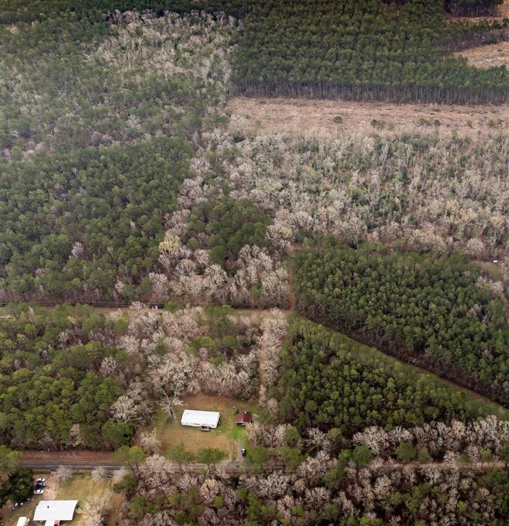 681 Bay City Road Oakdale, LA 71463 - Photo 38 of 48