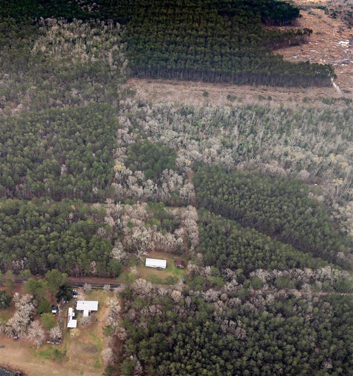 681 Bay City Road Oakdale, LA 71463 - Photo 39 of 48