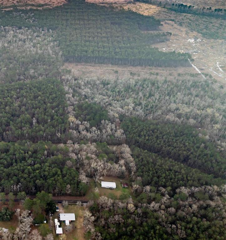 681 Bay City Road Oakdale, LA 71463 - Photo 40 of 48