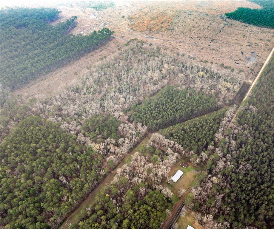 681 Bay City Road Oakdale, LA 71463 - Photo 41 of 48