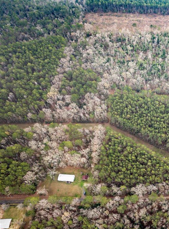 681 Bay City Road Oakdale, LA 71463 - Photo 44 of 48