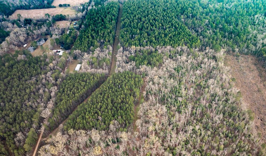 681 Bay City Road Oakdale, LA 71463 - Photo 45 of 48