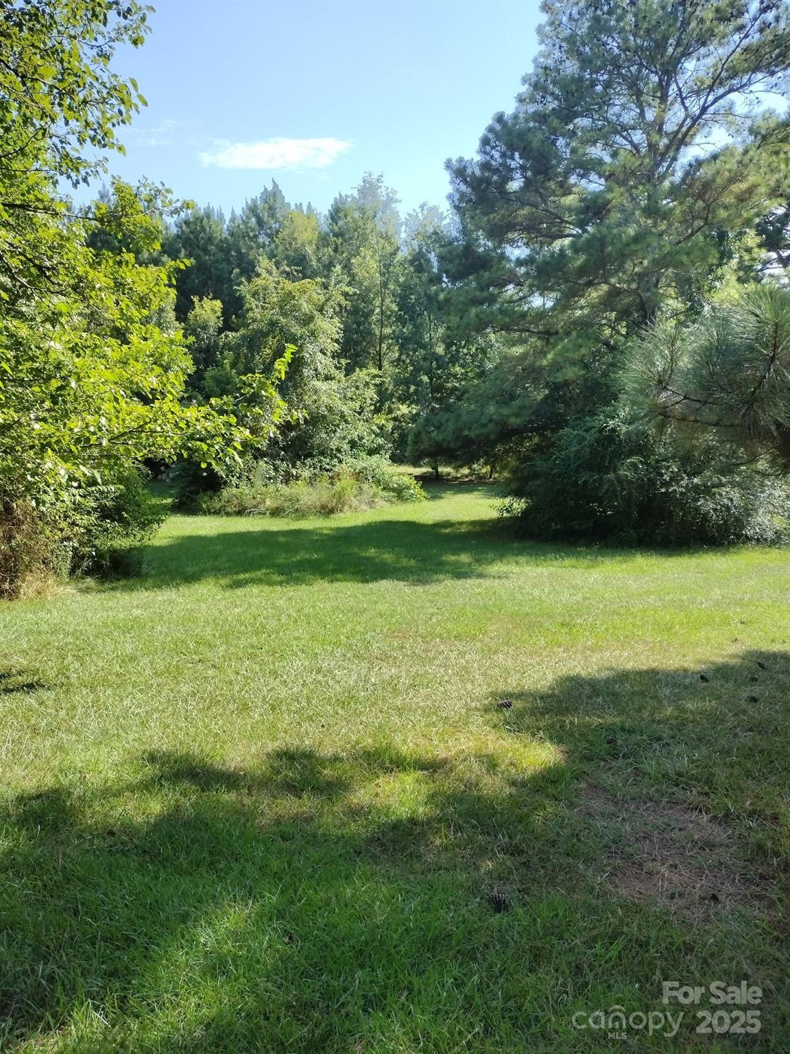 1350 Edgefield Road York, SC 29745 - Photo 29 of 37 a view of a big yard with plants and large trees
