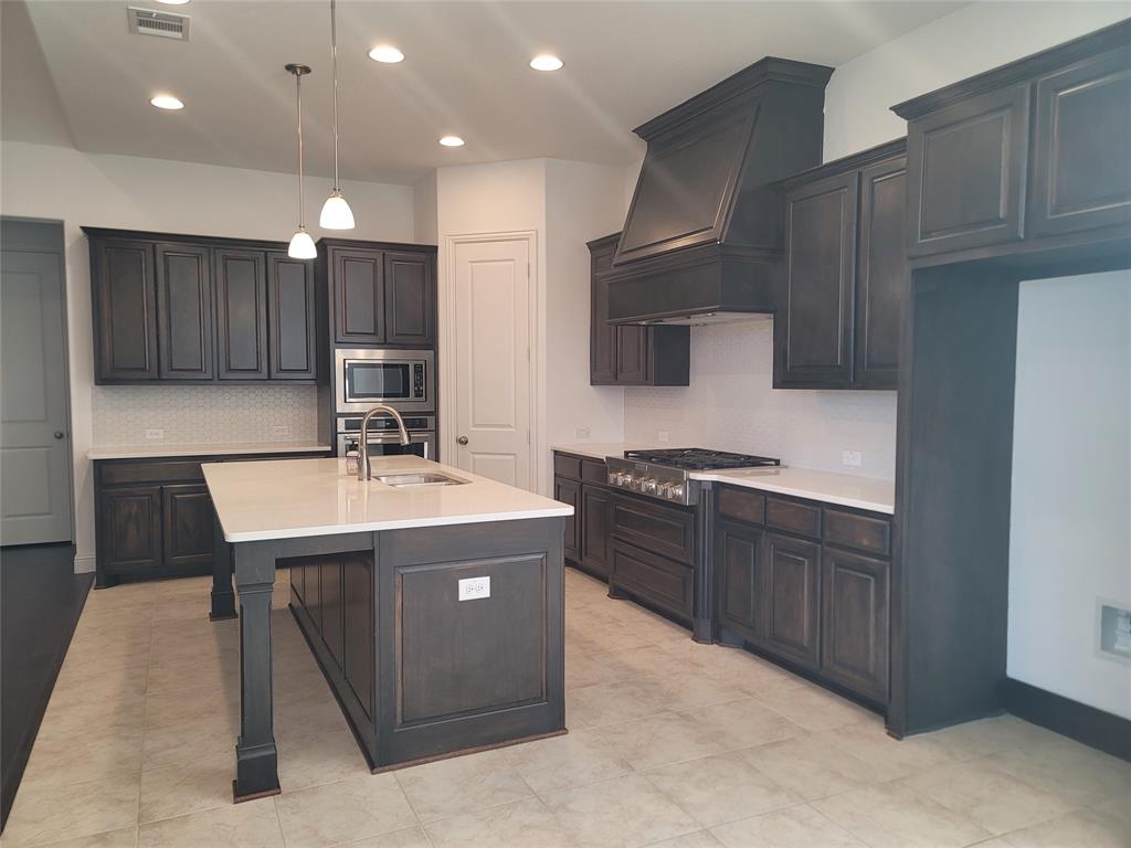 8553 Gerbera Daisy Road Frisco, TX 75035 - Photo 4 of 32