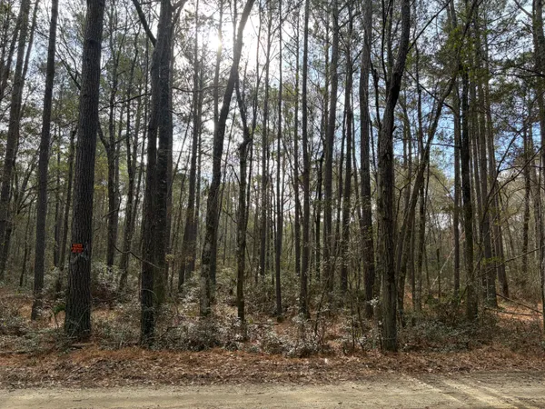$140,000 | 0 Hercules Road, McClellanville, SC 29458