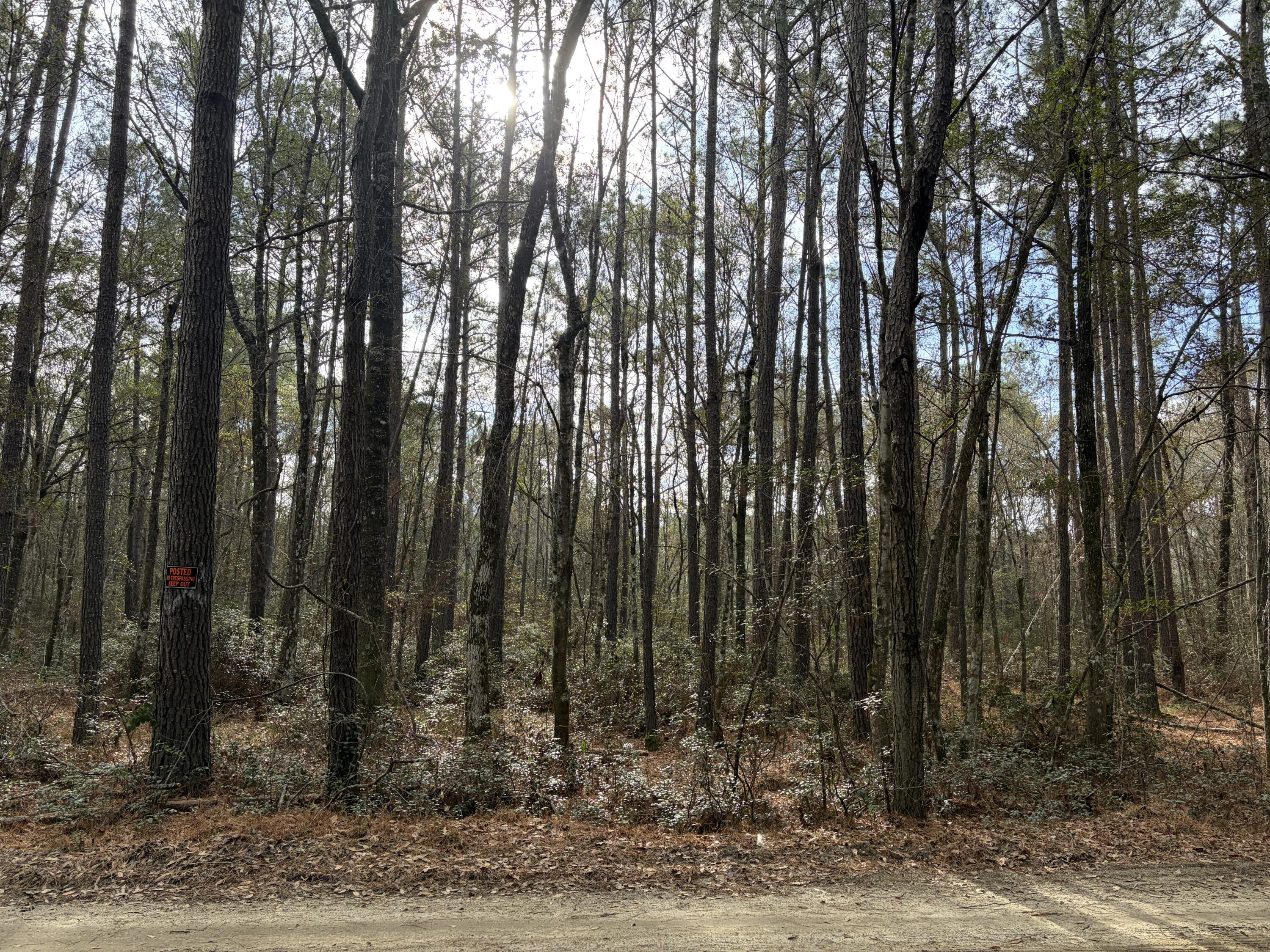 0 Hercules Road McClellanville, SC 29458 - Photo 1 of 2