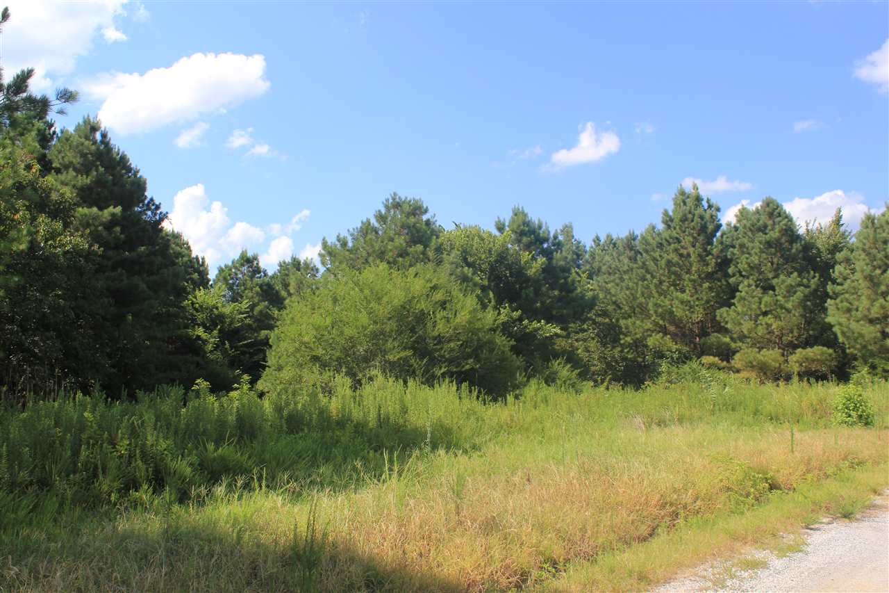 0 Lunati Road Holly Springs, MS 38635 - Photo 11 of 21 Gallery Image 11