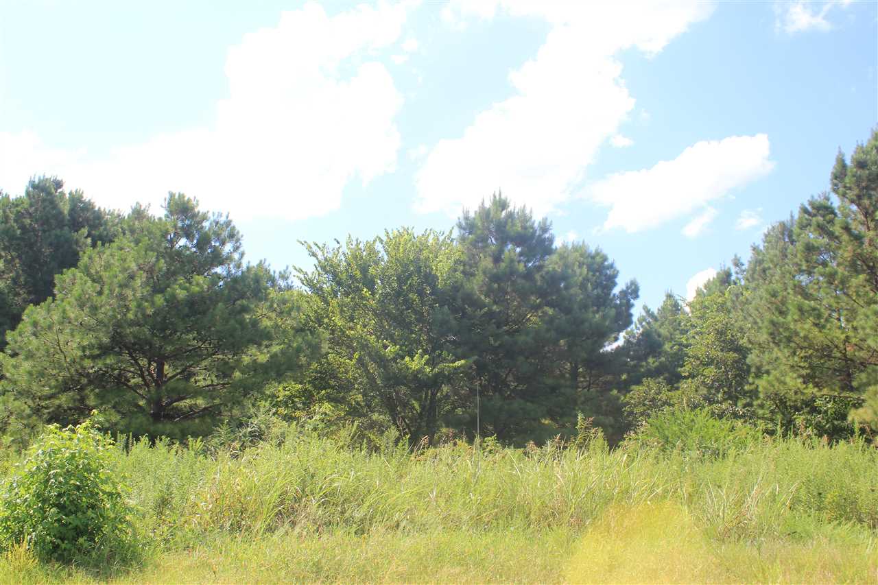 0 Lunati Road Holly Springs, MS 38635 - Photo 12 of 21 Gallery Image 12