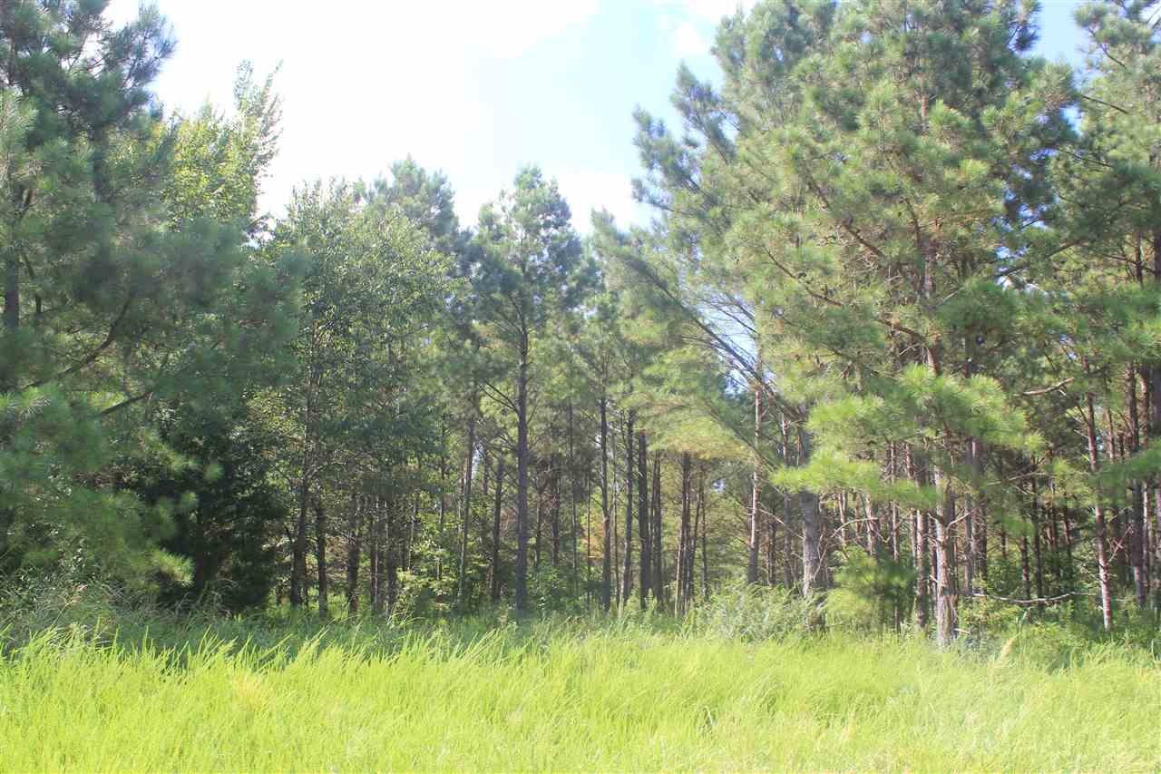 0 Lunati Road Holly Springs, MS 38635 - Photo 13 of 21 Gallery Image 13