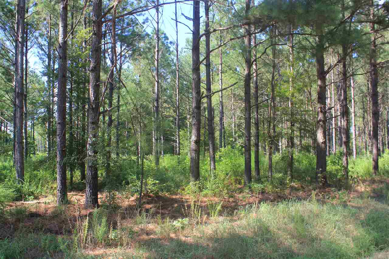 0 Lunati Road Holly Springs, MS 38635 - Photo 14 of 21 Gallery Image 14