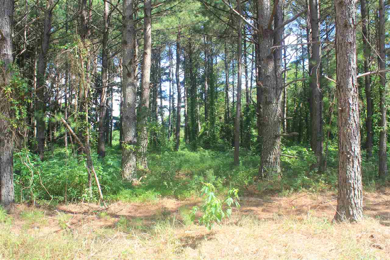 0 Lunati Road Holly Springs, MS 38635 - Photo 15 of 21 Gallery Image 15