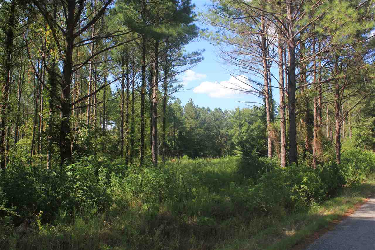 0 Lunati Road Holly Springs, MS 38635 - Photo 16 of 21 Gallery Image 16