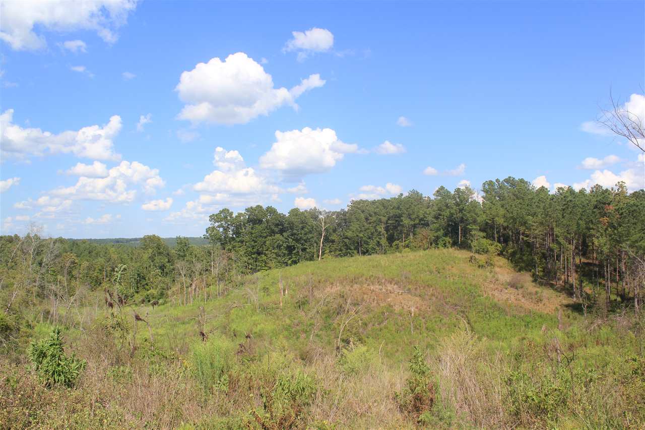 0 Lunati Road Holly Springs, MS 38635 - Photo 17 of 21 Gallery Image 17