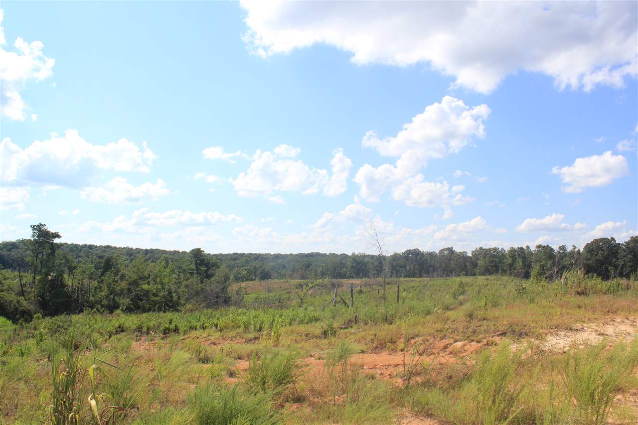 0 Lunati Road Holly Springs, MS 38635 - Photo 18 of 21 Gallery Image 18