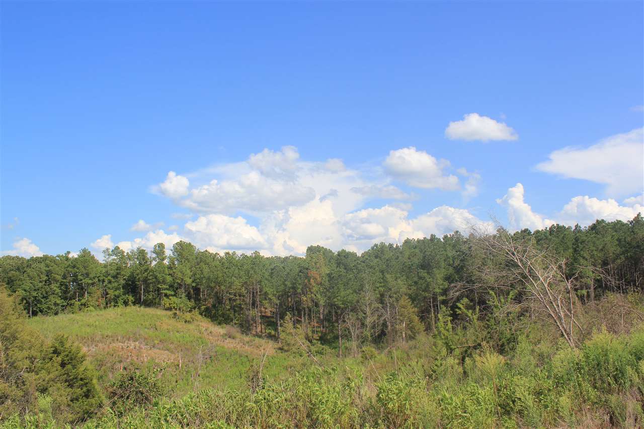 0 Lunati Road Holly Springs, MS 38635 - Photo 19 of 21 Gallery Image 19