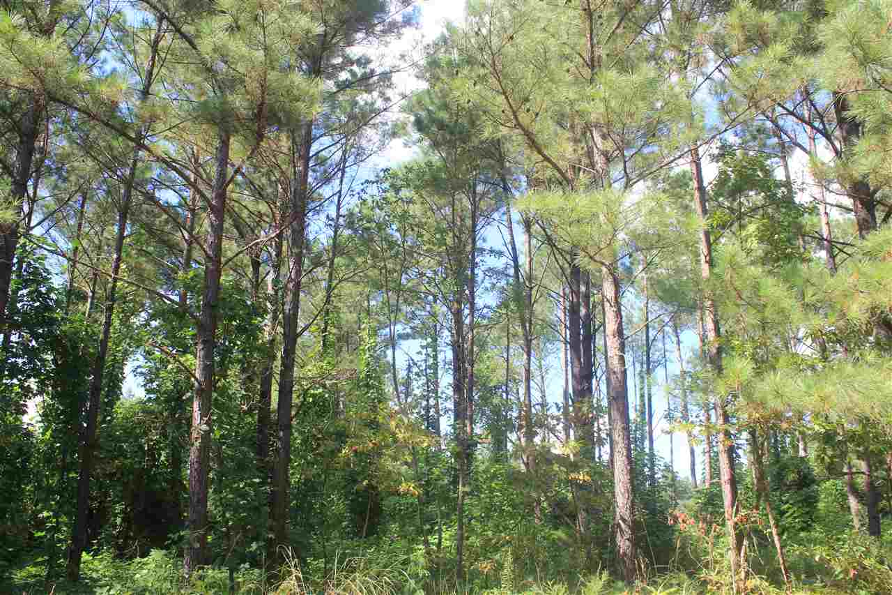 0 Lunati Road Holly Springs, MS 38635 - Photo 3 of 21 Gallery Image 3