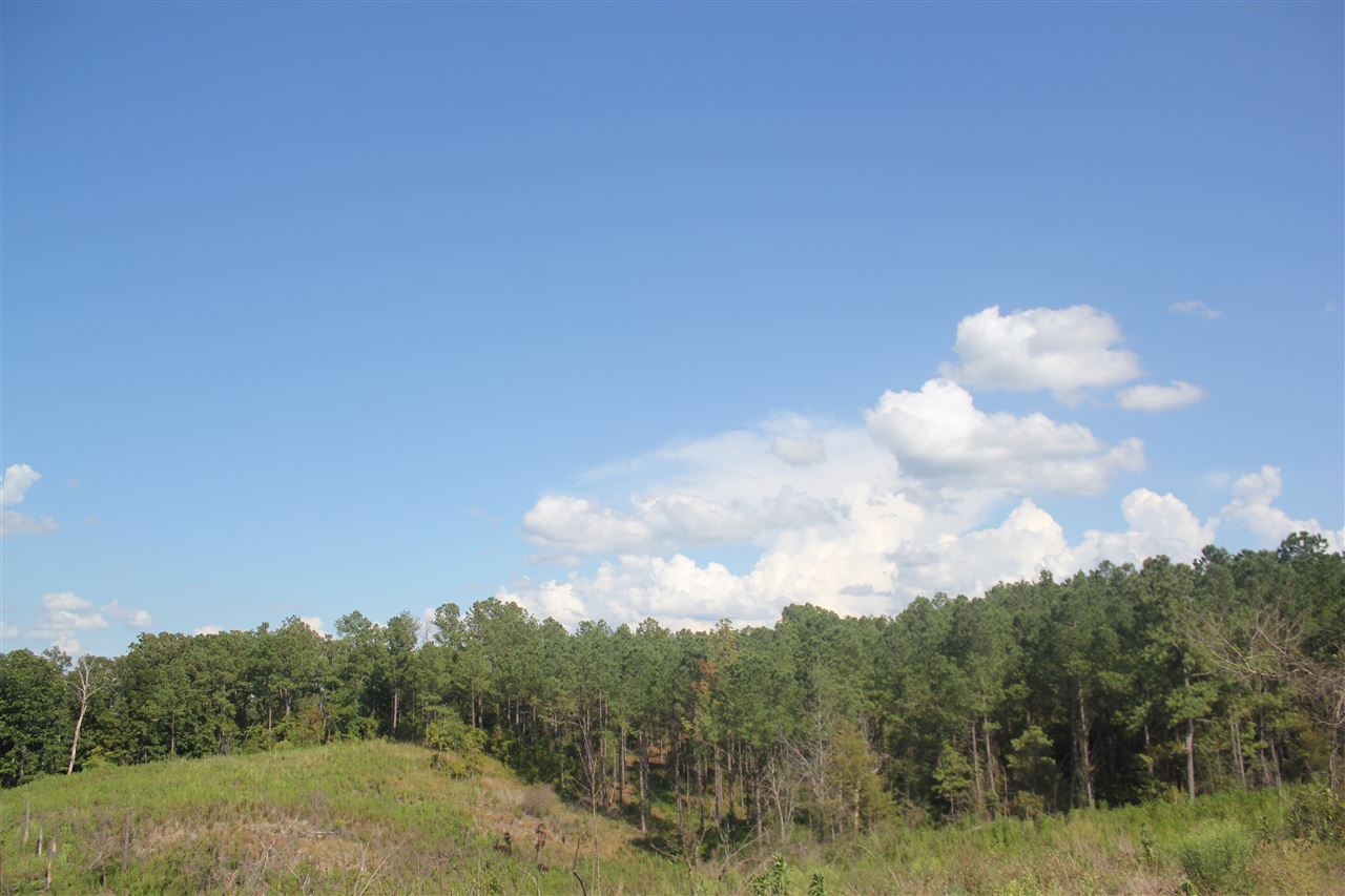 0 Lunati Road Holly Springs, MS 38635 - Photo 21 of 21 Gallery Image 21