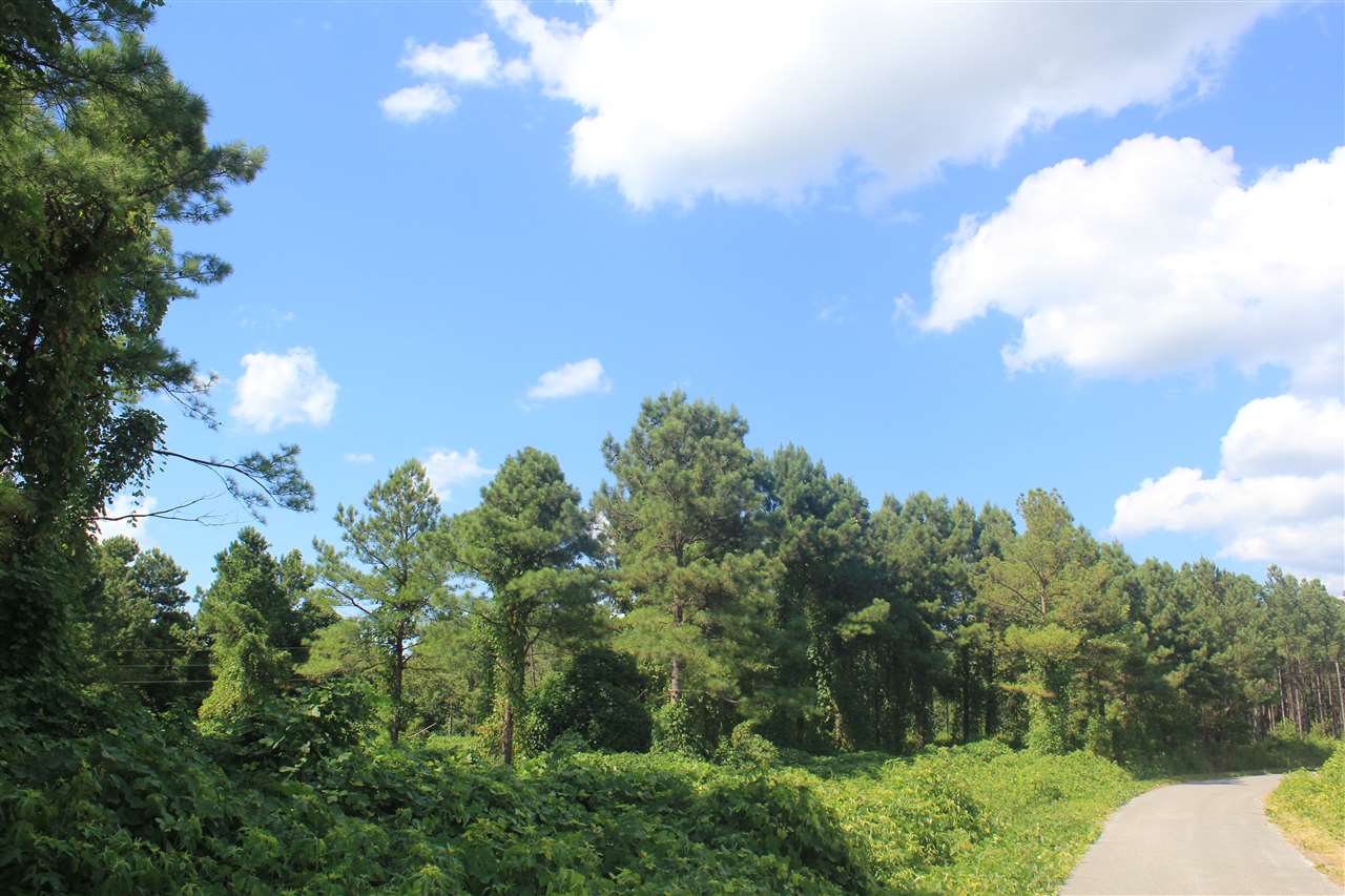 0 Lunati Road Holly Springs, MS 38635 - Photo 5 of 21 Gallery Image 5