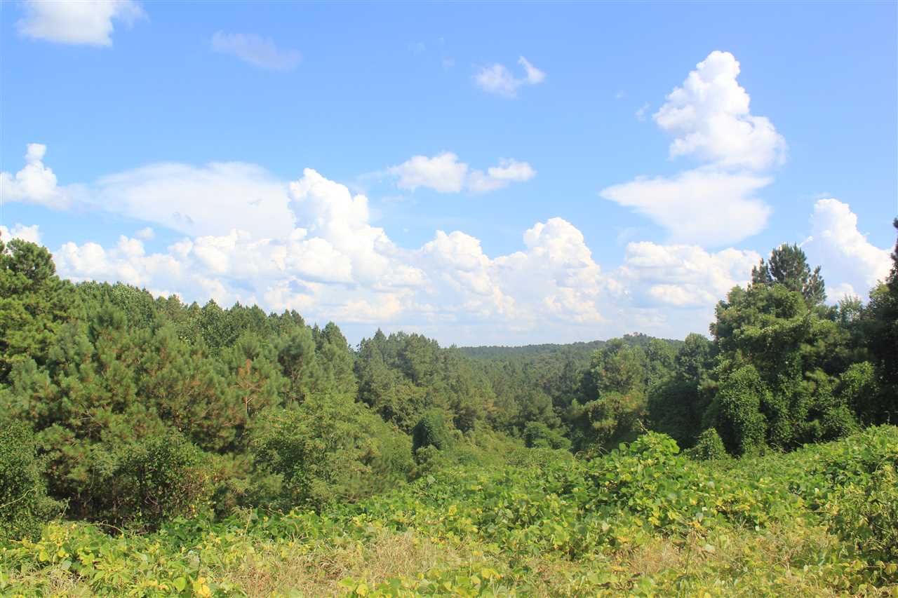 0 Lunati Road Holly Springs, MS 38635 - Photo 6 of 21 Gallery Image 6