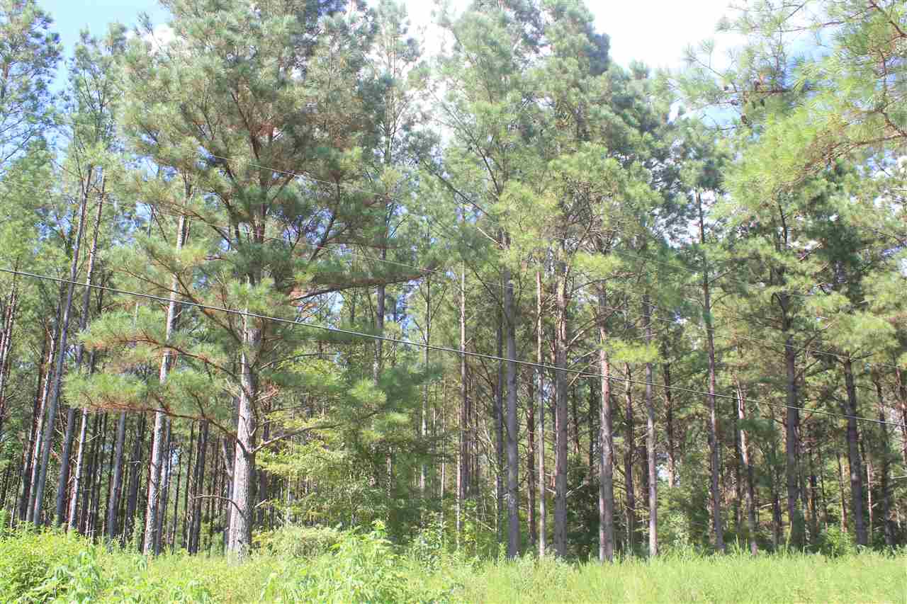 0 Lunati Road Holly Springs, MS 38635 - Photo 7 of 21 Gallery Image 7