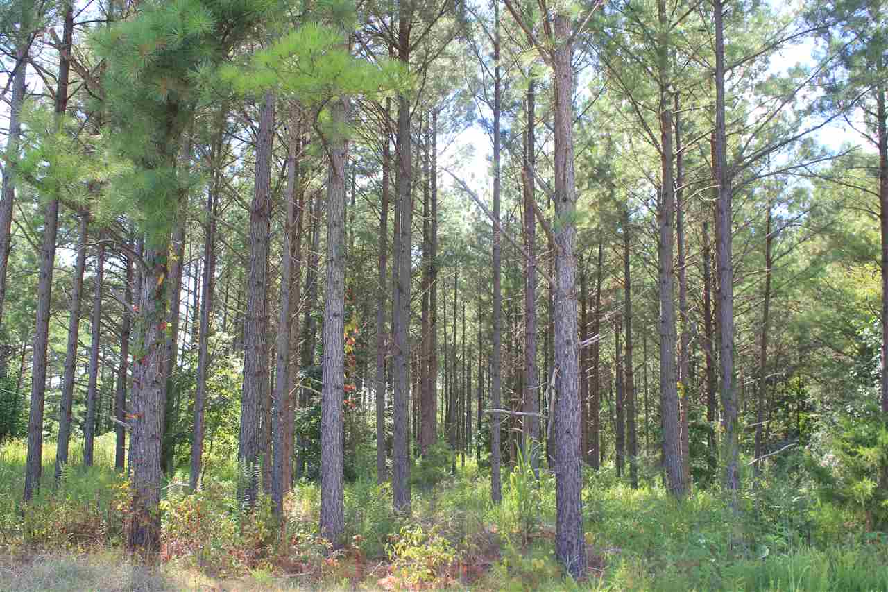 0 Lunati Road Holly Springs, MS 38635 - Photo 10 of 21 Gallery Image 10