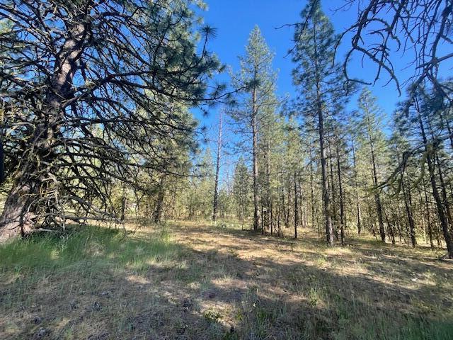 Lee Road McArthur, CA 96056 - Photo 2 of 15 IMG_3504