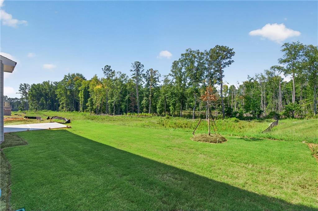 4373 Mary Ruth Way Hoschton, GA 30548 - Photo 74 of 75 Gallery Image 74