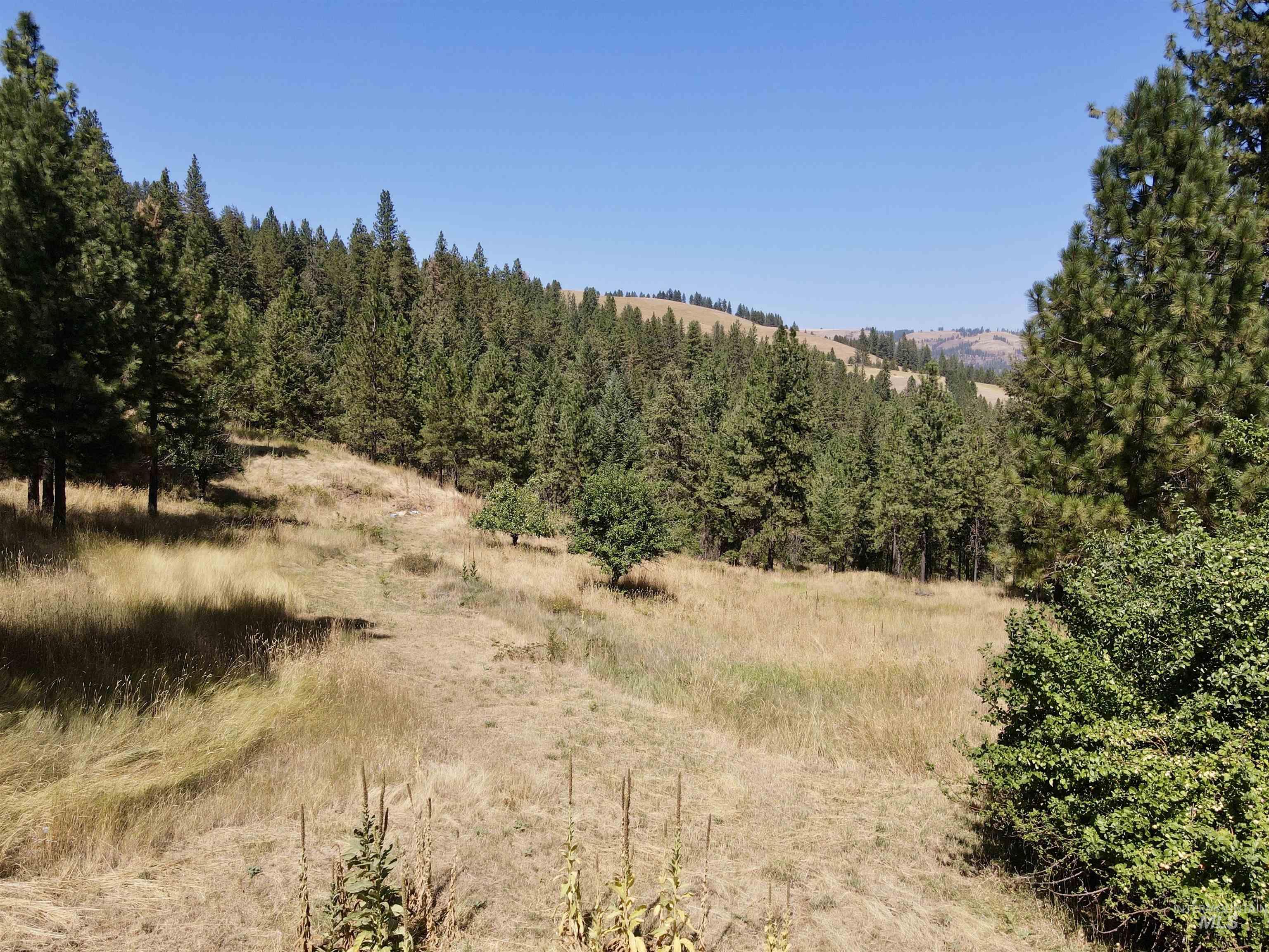 22545 Angel Ridge Road Peck, ID 83545 - Photo 49 of 50