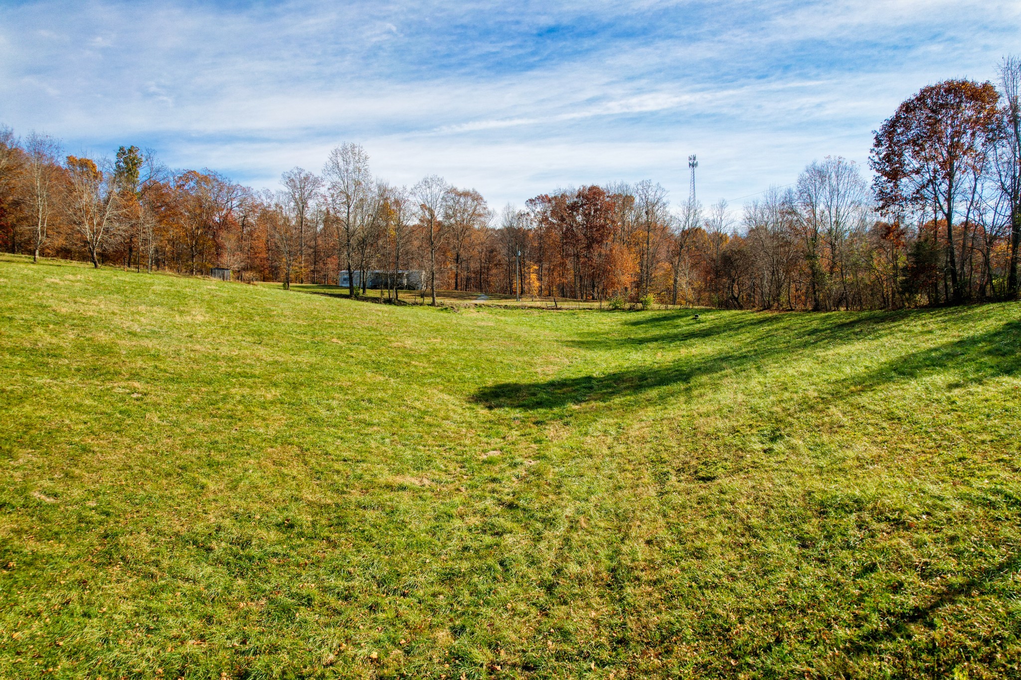 3919 Mobley's Cut Road Columbia, TN 38401 - Photo 11 of 17 a view of a big yard with large trees