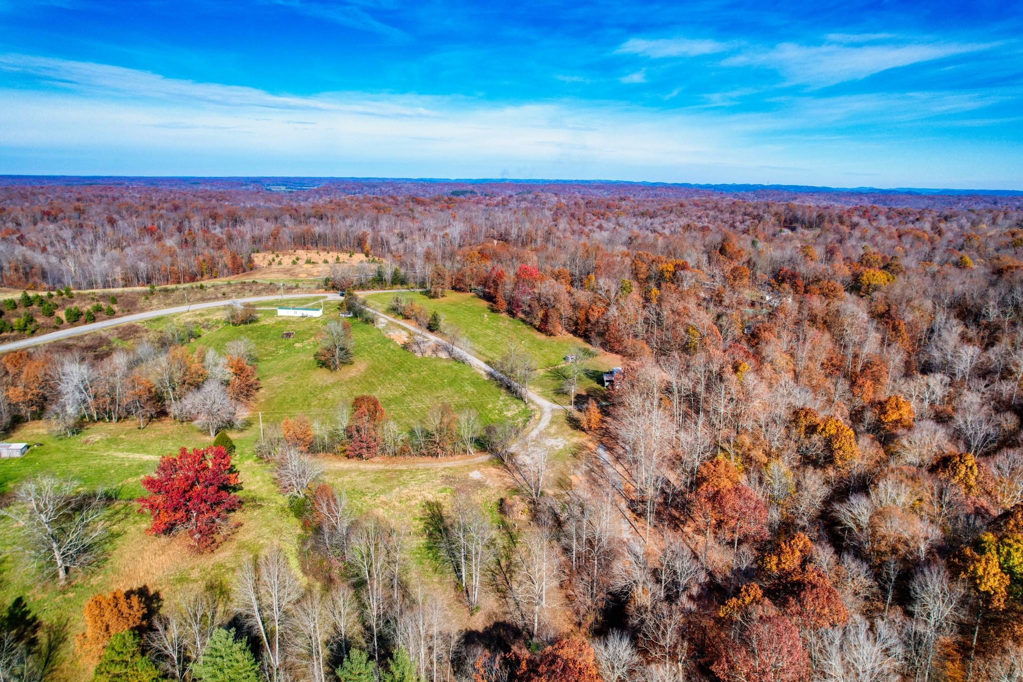 3919 Mobley's Cut Road Columbia, TN 38401 - Photo 15 of 17