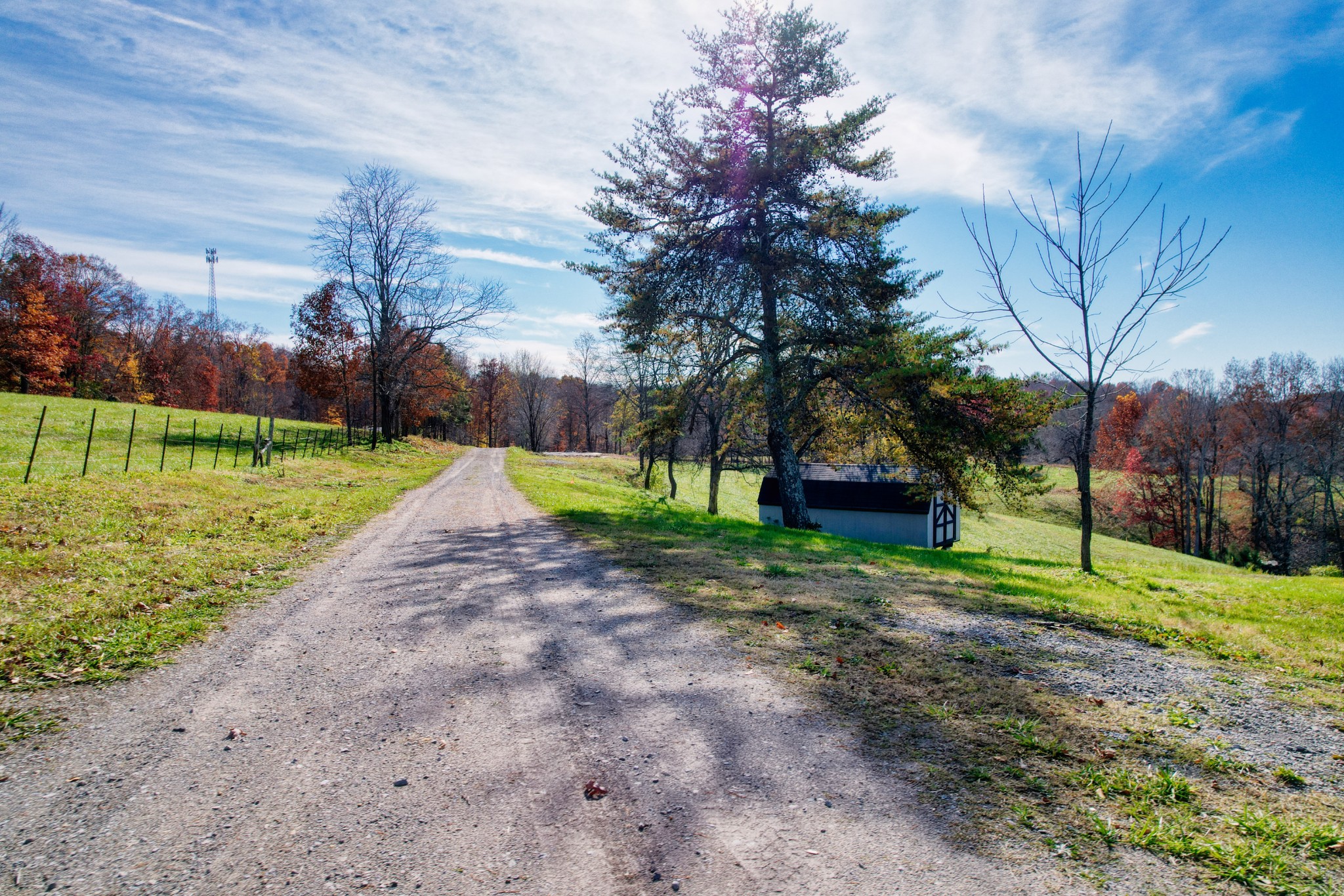 3919 Mobley's Cut Road Columbia, TN 38401 - Photo 7 of 17 a view of a park